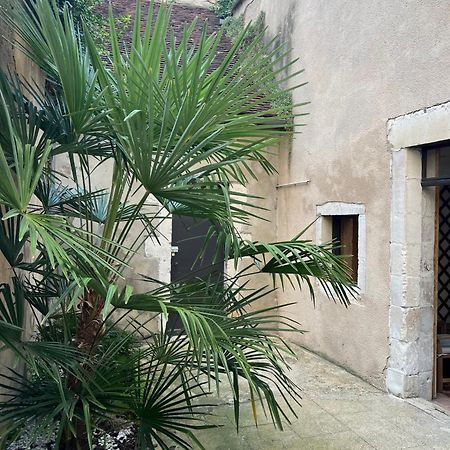 Cosy Appartement Hyper Centre Ville Avec Cour + Patio Auxerre Exteriér fotografie